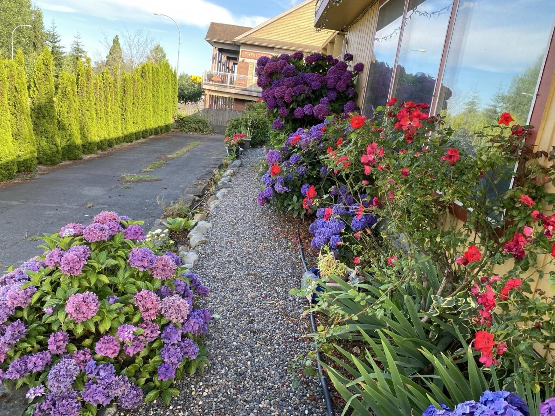 Holiday House Motel Ladysmith Luaran gambar